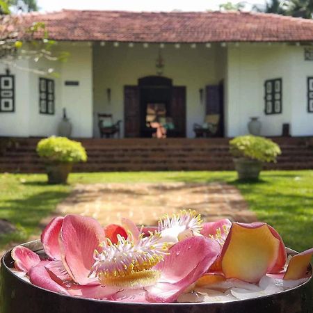 Templeberg Bed & Breakfast Walahanduwa Luaran gambar