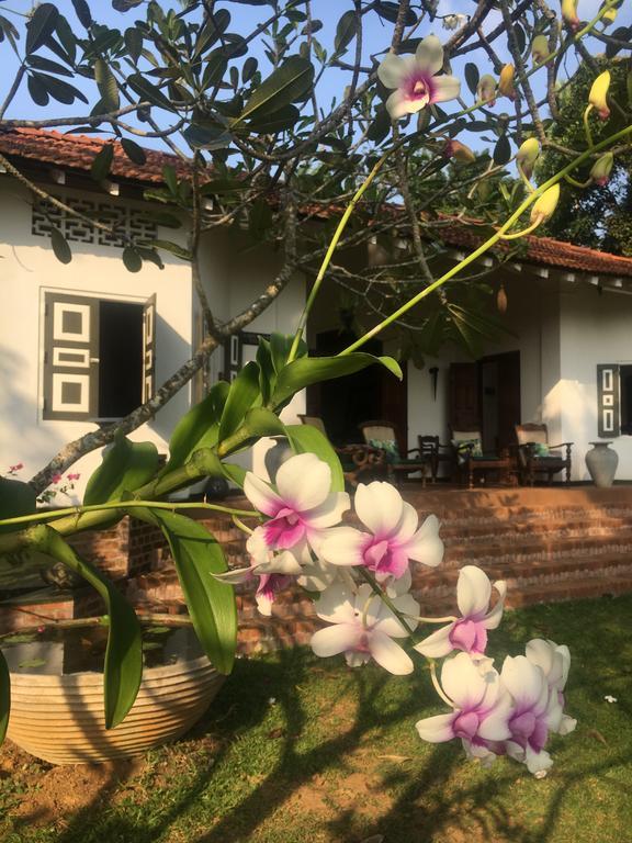 Templeberg Bed & Breakfast Walahanduwa Luaran gambar