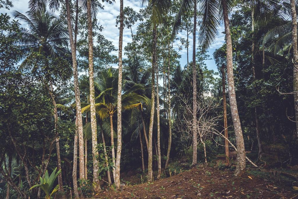 Templeberg Bed & Breakfast Walahanduwa Luaran gambar