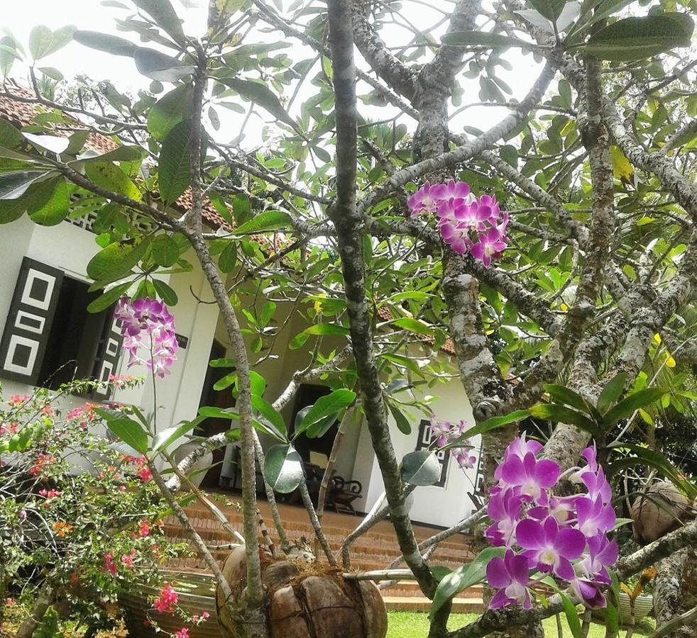 Templeberg Bed & Breakfast Walahanduwa Luaran gambar