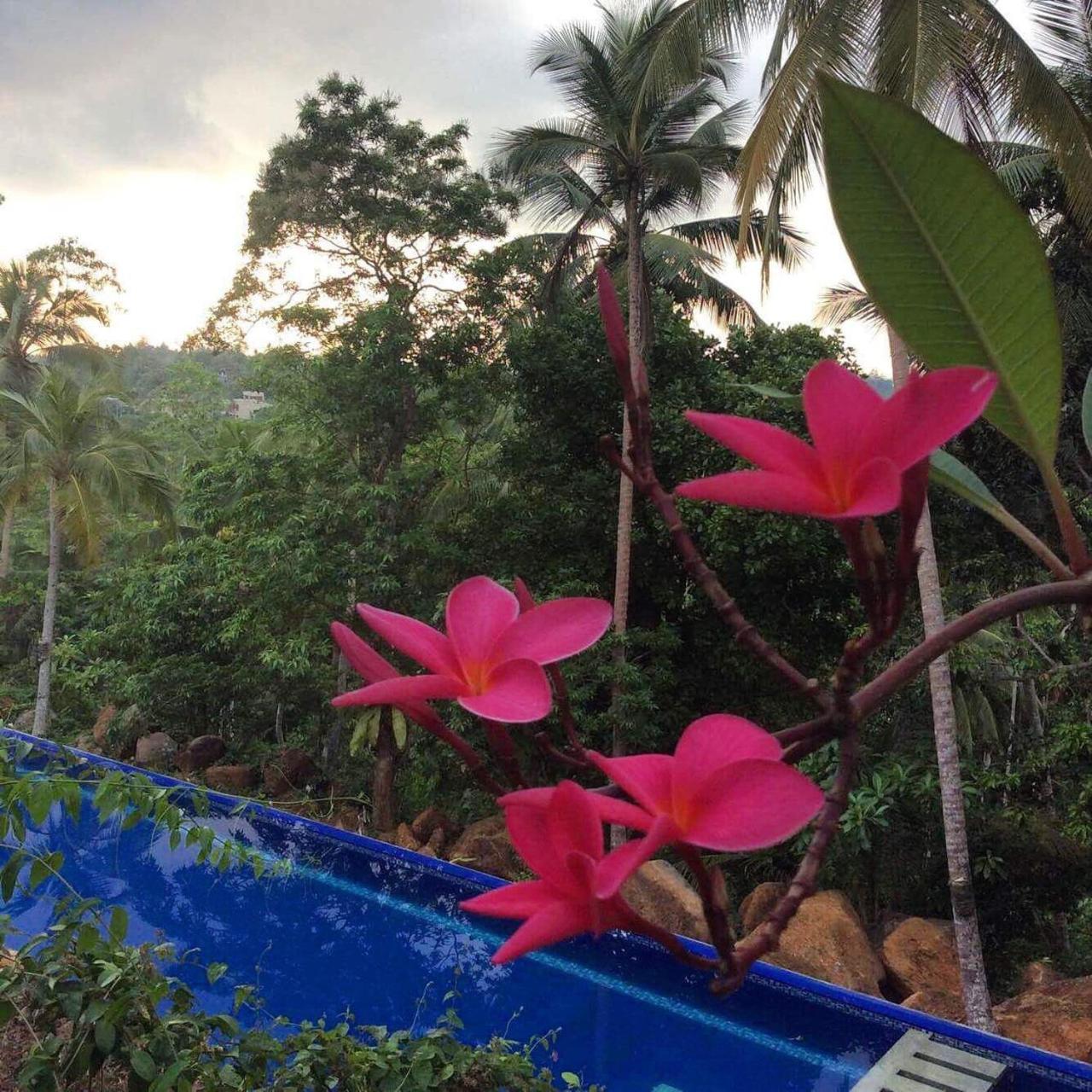 Templeberg Bed & Breakfast Walahanduwa Luaran gambar